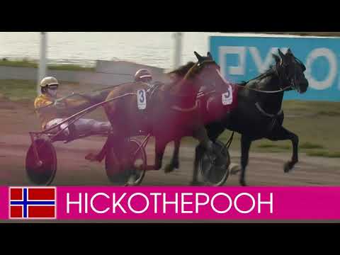 Välkommen till Elitloppet 2021 - Hickothepooh!