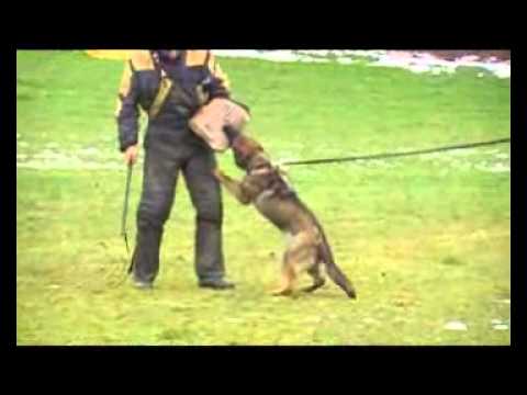 EMMA AYKMAR - DEFENCE 6 months - helper: ČERNÝ MAREK