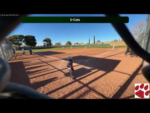 D-Cats @ Toros baseball (2026.01.17)