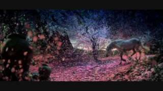 Solitary Experiments  Counterpart Two