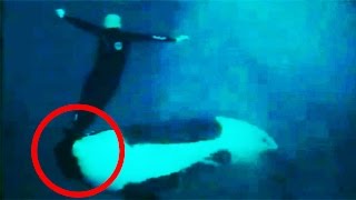 Top 15 Truly Terrifying Things Caught On Camera