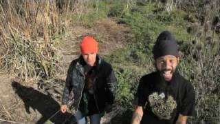 Fidel - Picadura de avispa (video oficial) HD 1080