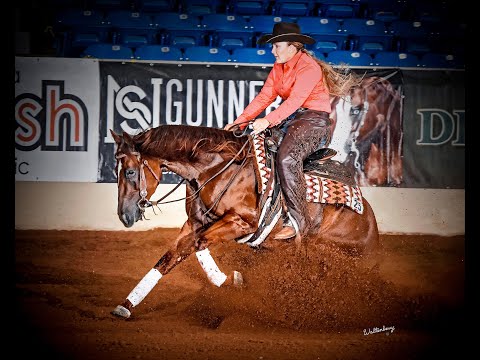 Sparkville shown by Amy Stoney   2020 NRBC SmartPak Non Pro Futurity