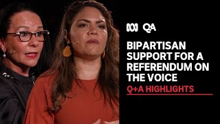 Will We Have a Referendum Without Bipartisan Support? | Q+A