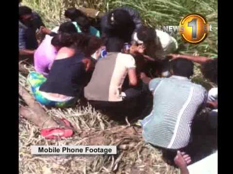 Ella accident Newsfirst