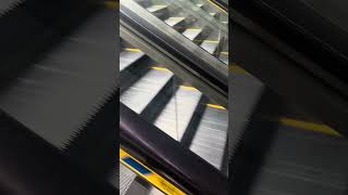 シンガポールのエスカレーター早過ぎ