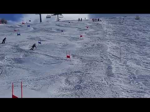 SCI CLUB PENNA NERA, CUCCIOLI 17 FEB 2024