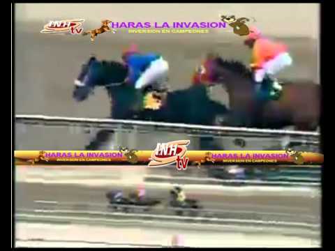 LA RINCONADA 1 CARRERA DOMINGO 01 DE FEBRERO DEL 2015