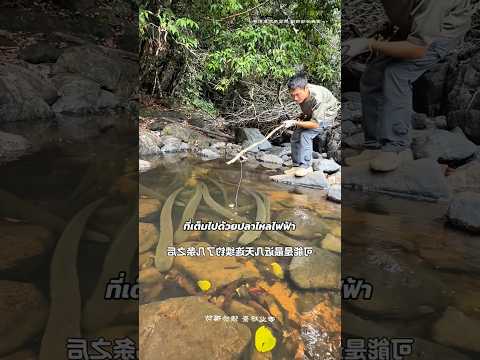 “ครั้งแรกของเธอในป่าอเมซอน! จากสวยใสกลายเป็นสายลุย”