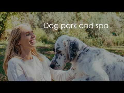 Brand New Sandy Springs Apartments in Atlanta | Modera Sandy Springs | A Modern Muse