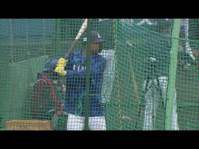 【春季キャンプ】パワーも持ってる!! ライオンズ・モンテルがフリー打撃で防球ネット直撃の一発!!  2025年2月21日 埼玉西武ライオンズ