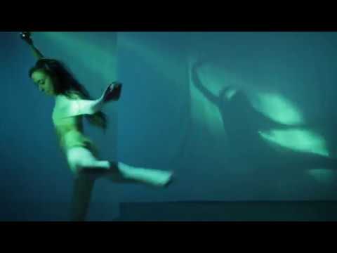 We Are Creepz - Blossoming Motion