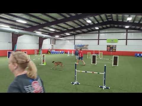 Kaldi dbl Q July 2025