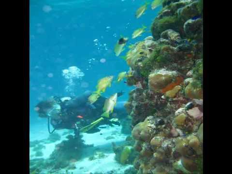 Buceo en San Andres Isla