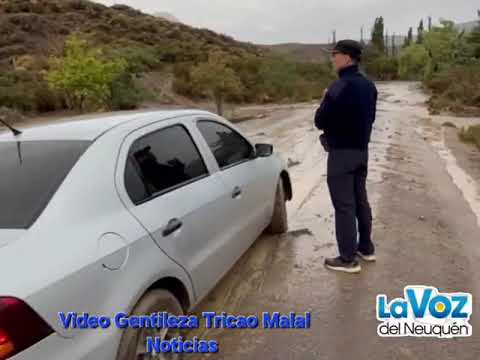 La Voz TV: Tricao Malal