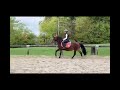 Super ponette club / loisir