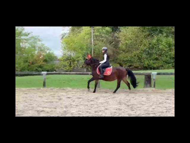 Super ponette club / loisir