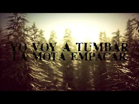 Grupo Los De Chiwas - Entre Mota (Lyric Video)