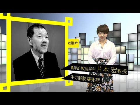 180051　ミライトビラVol.1農学部獣医学科　片本宏教授