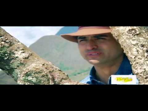 LOS APUS: MIX WANKA / video grabado 2010 / TARPUY PRODUCCIONES