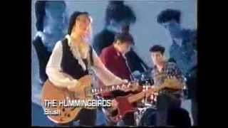 The Hummingbirds - Blush (1988)
