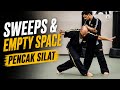 ⚡Pencak Silat: Sweeps & Empty Space