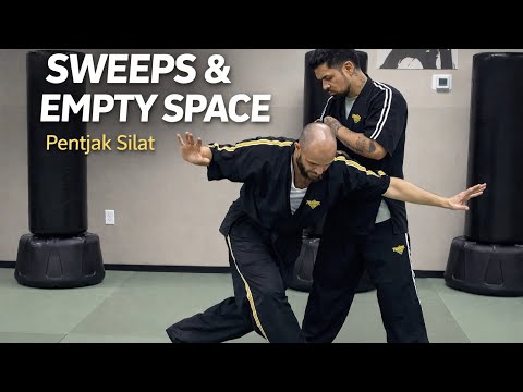 ⚡⚡Sweeps & Empty Space (Pentjak Silat).