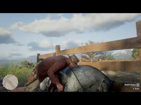 Accidentally killed Dawg, my War Horse | Red Dead Redemption 2