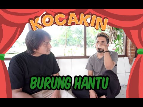 kocakin-burung-hantu