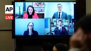 LIVE: Former Anthropic researcher testifies on AI at New York City Council