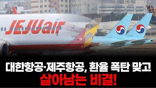 대한항공·제주항공, 환율 폭탄 맞고도 살아남는 비결!