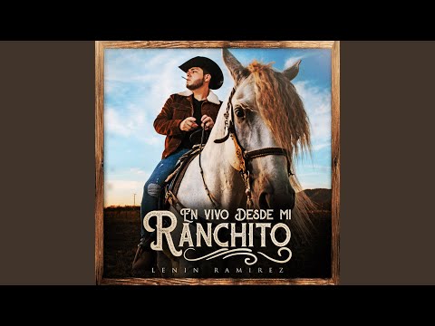 Un Frisian Llamado El Centenario