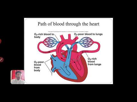 Ram-Eesh Institue of Vocational and Technical Education General video thumbnail 3