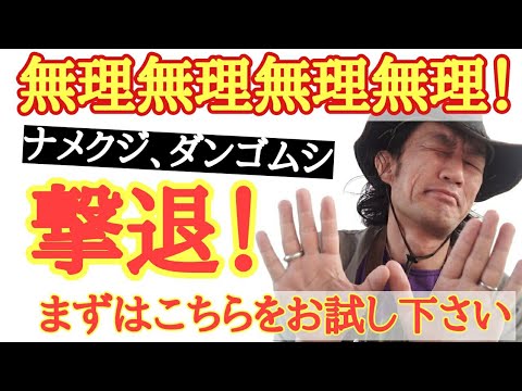庭の幼虫を駆除するにはどうすればよいですか？何が彼らを惹きつけるのでしょうか？  庭園