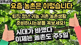 #샤인머스켓재배기술 #시설비가림대형하우스 #농업귀농귀촌농촌주5일