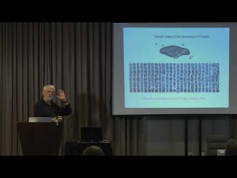Haim Sompolinsky, Harvard University | Machine Learning Workshop