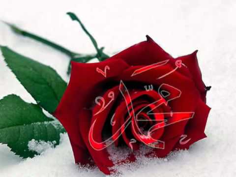 Türkisch Ilahi ya Muhammet(sav)