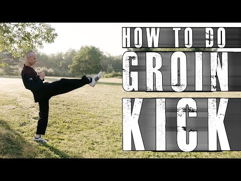 How To Do Groin Kick  - Beginner Kicking