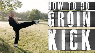 How To Do Groin Kick - Beginner Kicking