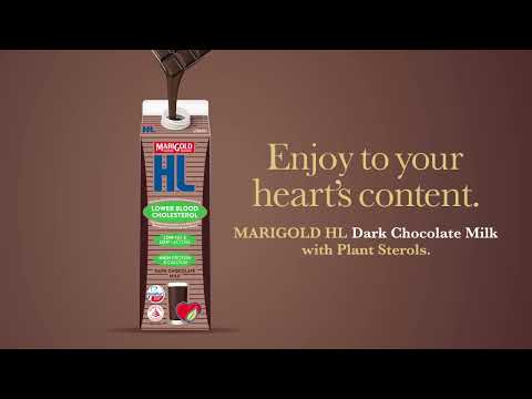 MARIGOLD HL Dark Chocolate Milk with Plant Sterols 25s Eng