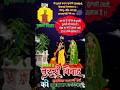 शुभ तुलसी विवाह 2025 Tulsi Vivah Status Tulsivivah Shortsvideo Ytshortsvid