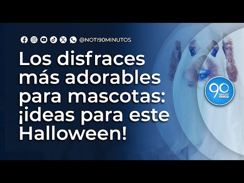 The cutest pet costumes: ideas for this Halloween! - YouTube