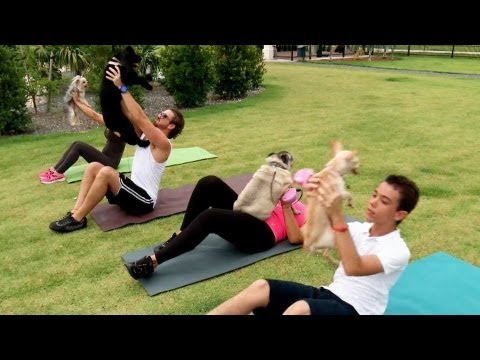 Saca a pasear a tu perrito y aprovecha para bajar de peso con Claudia Molina - Despierta América