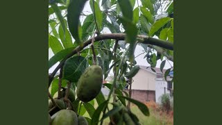 Download lagu Karena Suka Makan mp3