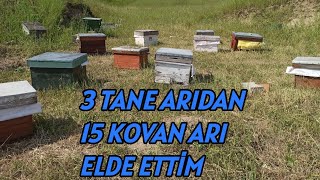 Çıta hesabı sattığımız arıyı nasıl bölme uygulamasıyla satılır uygulam