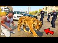 GTA V Franklin Shinchan Save The Rare Bengal Tiger Part 1 In Telugu