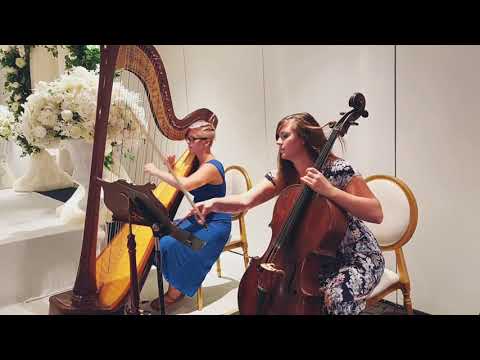 Promotional video thumbnail 4 for The Soenen Sisters - Harp Flute and Cello