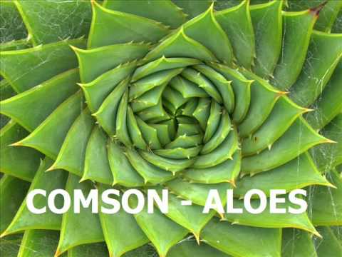 Comson - Aloes