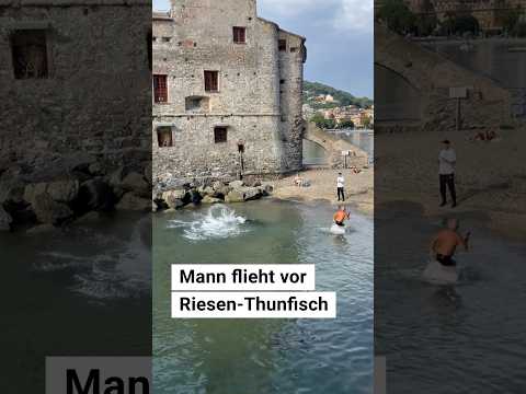 Mann flieht vor Riesenfisch