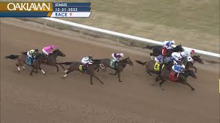 Oaklawn Park - The Year's End Stakes 2022